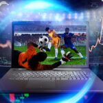Sportsbook Software Provider