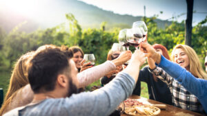 Vineyard Tour