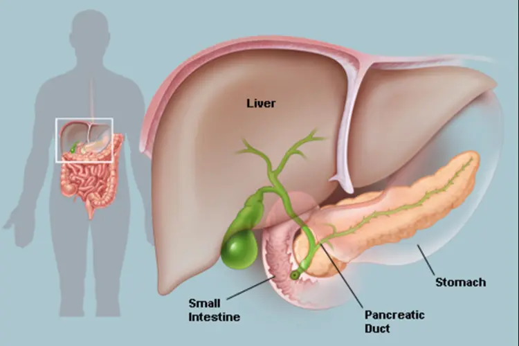 Natural Remedies and Lifestyle Adjustments for Pancreatic Health