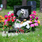 Pet Cremations