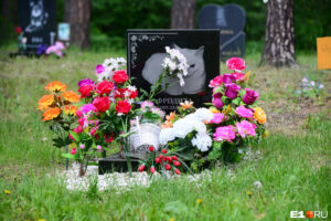Pet Cremations