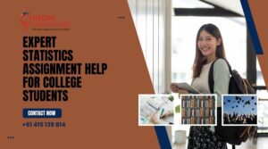 Statistics Assignment Help