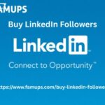 Buy LinkedIn Followers