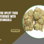 uplift thca flower