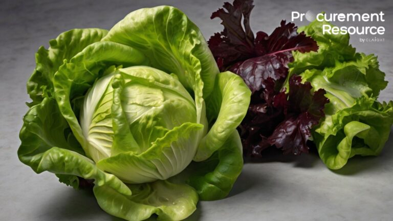 Lettuce Production Cost Report