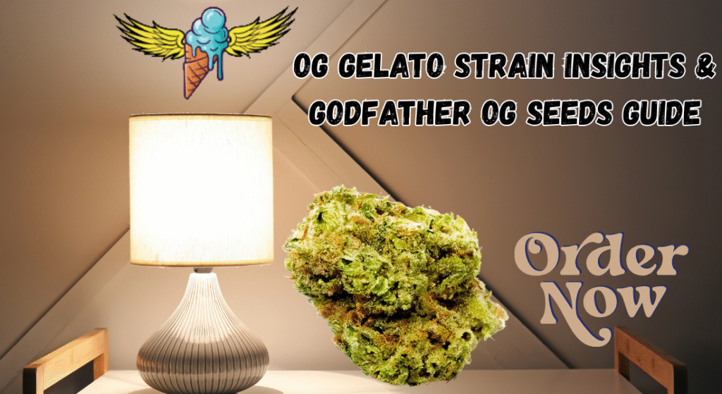 og gelato strain