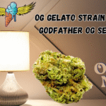 og gelato strain