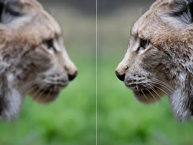 enhance