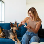 500mg Full Spectrum Pet CBD