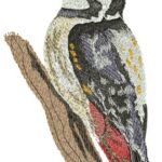 Birds Embroidery Designs