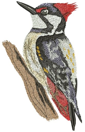 Birds Embroidery Designs