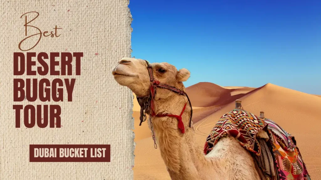 Desert Buggy Tour