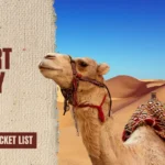 Desert Buggy Tour
