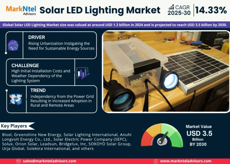 Global Solar LED Lighting Market Research Report Forecast (2025-2030)