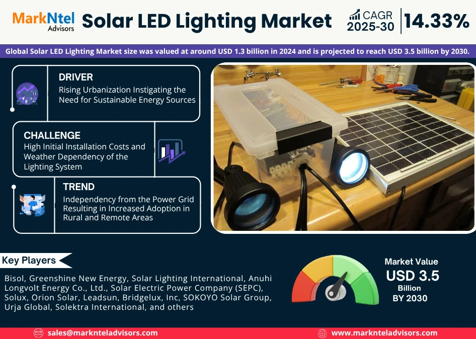 Global Solar LED Lighting Market Research Report Forecast (2025-2030)