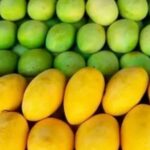 Mango Companies in Pakistan