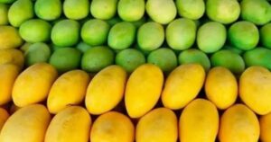 Mango Companies in Pakistan