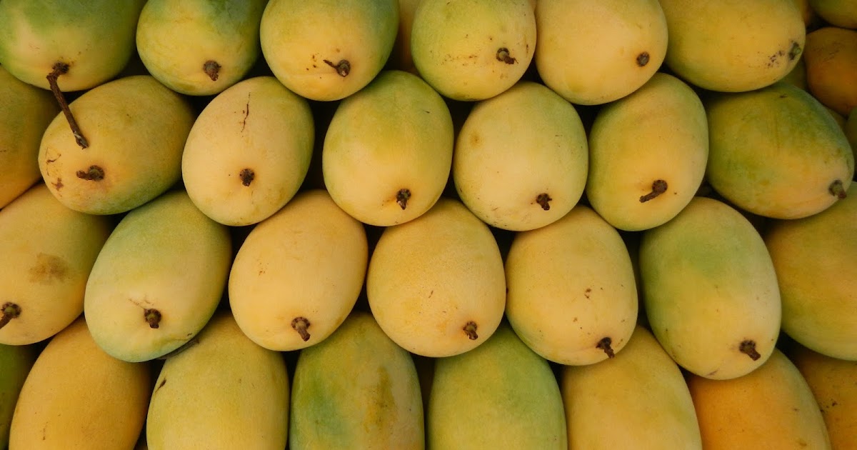 Mango Companies in Pakistan