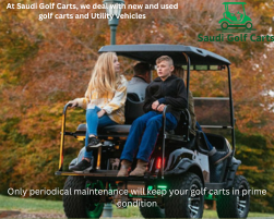 Only periodical maintenance will keep your golf carts in prime condition