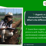Students learning organic farming techniques in India