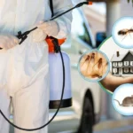 The image shows a pest control professional wearing a respirator mask and overalls, holding a spray wand connected to a green tank on his back. He is standing in front of a red circle with a slash through it, inside of which are various common pests including a spider, a cockroach, a centipede, a fly, a cricket, and another flying insect. The overall impression is a visual representation of pest control services.