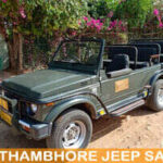 Ranthambore Jeep safari Booking 