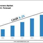 U.S. Bread Improvers Market Growth Outlook 2030: Volume Trends & Strategic Insights