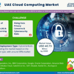 UAE Cloud Computing Market Research Report Forecast (2025-2030)