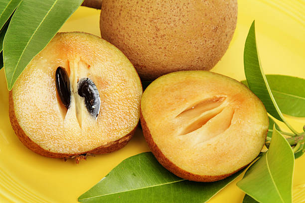 Discover the Natural Delight of Chikoo Freeze Dried Chips