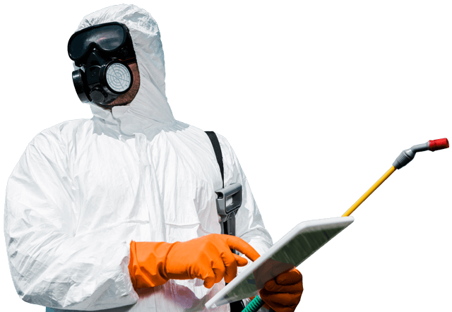 Best Pest Control in Jaipur