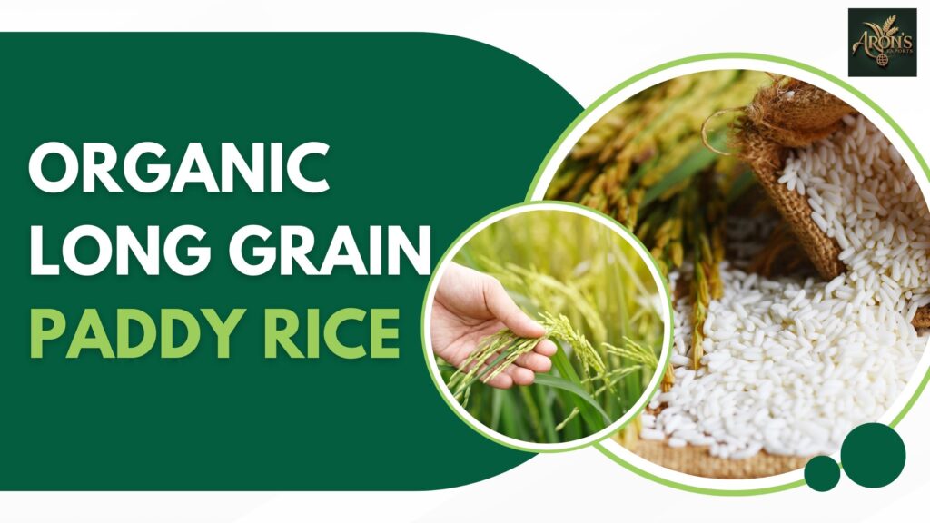 organic long grain paddy rice