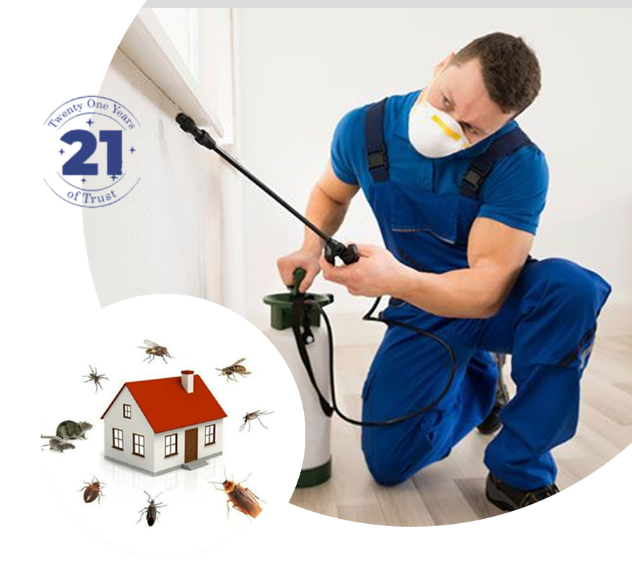 Pest Control Services in Kolkata