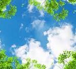 sky ceiling