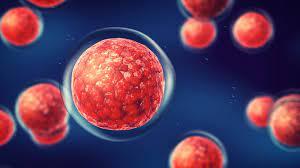stem cell therapy