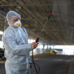 Trusted Pest Control Services in Houston