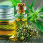 Buy Premium CBD Products Online