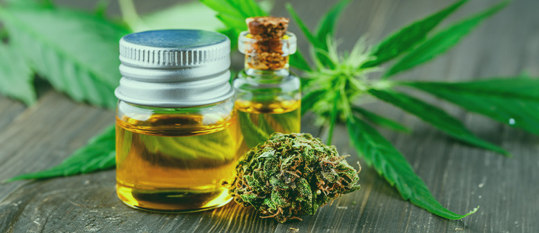 Buy Premium CBD Products Online
