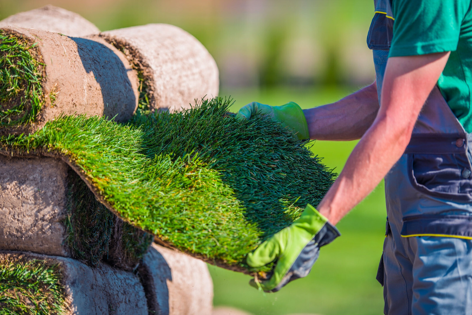 Turf Maintenance Service Manhattan