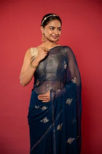 Rajputi Chiffon Saree
