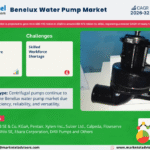 Benelux Water Pump Market Research Report Forecast (2026-2032)