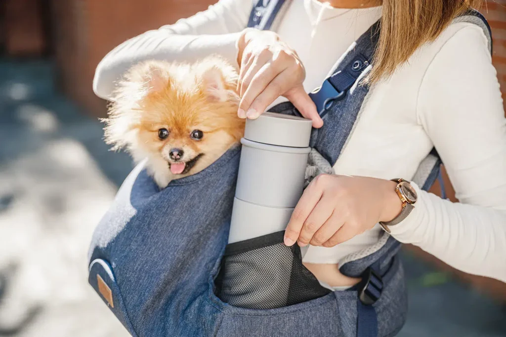 bag puppy