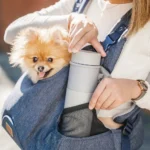 bag puppy