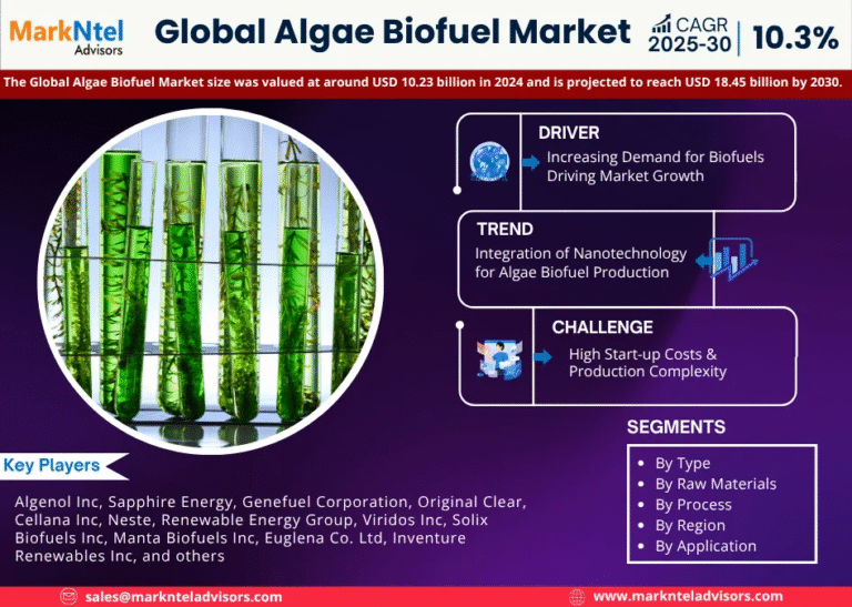 Global Algae Biofuel Market Research Report Forecast (2025-2030)
