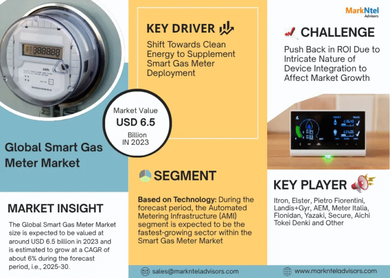 Global Smart Gas Meter Market Research Report Forecast (2025-2030)