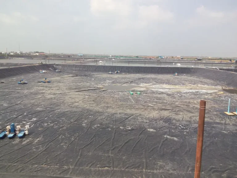 Liner for Aquaculture Pond