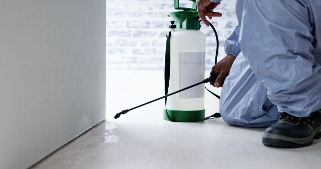 Pest Frog: Trusted Commercial & Residential Pest Control Houston