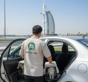 pet taxi for cats dubai