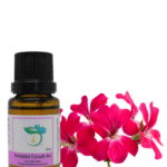Rose Geranium Essential Oil