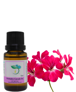 Rose Geranium Essential Oil