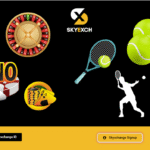 sky exchange id